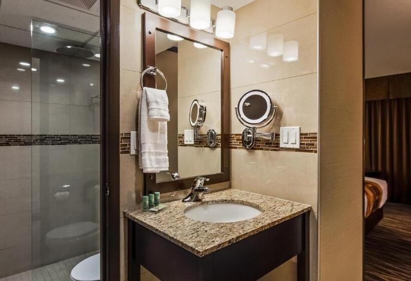 غرفة قياسية سرير كينج, Best Western Wayside Inn