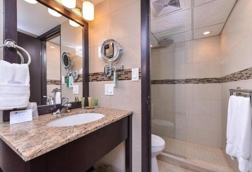 غرفة قياسية سرير كينج, Best Western Wayside Inn