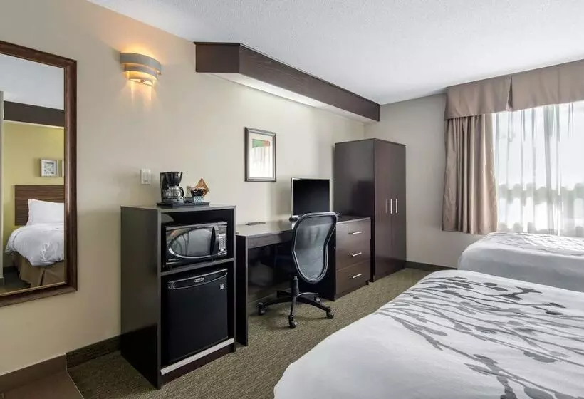 اتاق استاندارد با 2 تخت دوبل, Sleep Inn