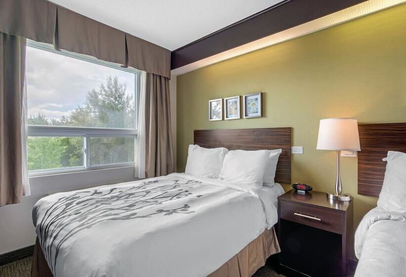 غرفه قياسيه سريرين مزدوجين, Sleep Inn