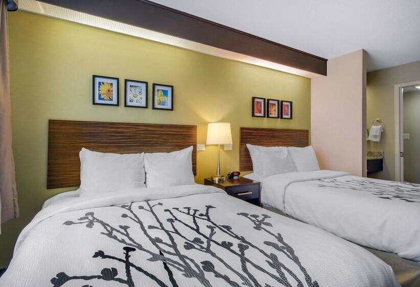 غرفه قياسيه سريرين مزدوجين, Sleep Inn