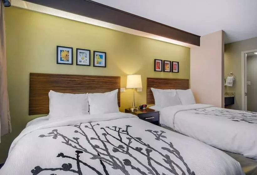اتاق استاندارد با 2 تخت دوبل, Sleep Inn