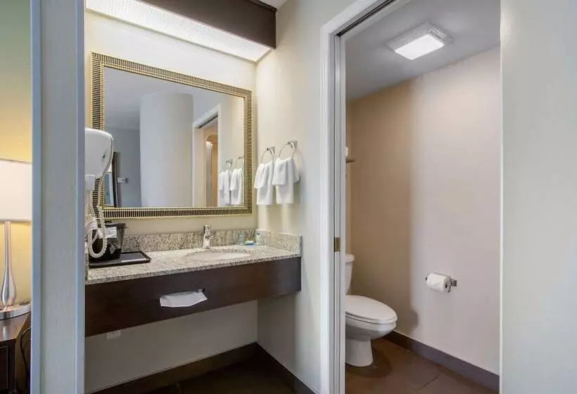 اتاق استاندارد با 2 تخت دوبل, Sleep Inn