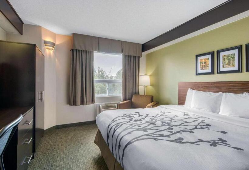 غرفة كلاسيكية سرير كينج, Sleep Inn