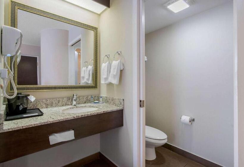 غرفة كلاسيكية سرير كينج, Sleep Inn