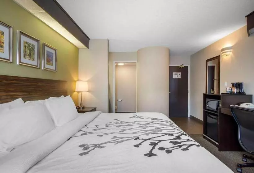 اتاق کلاسیک با تخت دونفره, Sleep Inn