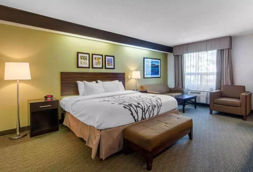 اتاق سوپریور با تخت بزرگ, Sleep Inn