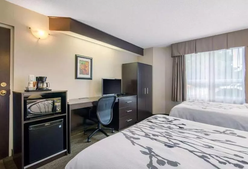 اتاق استاندارد با 2 تخت دوبل, Sleep Inn