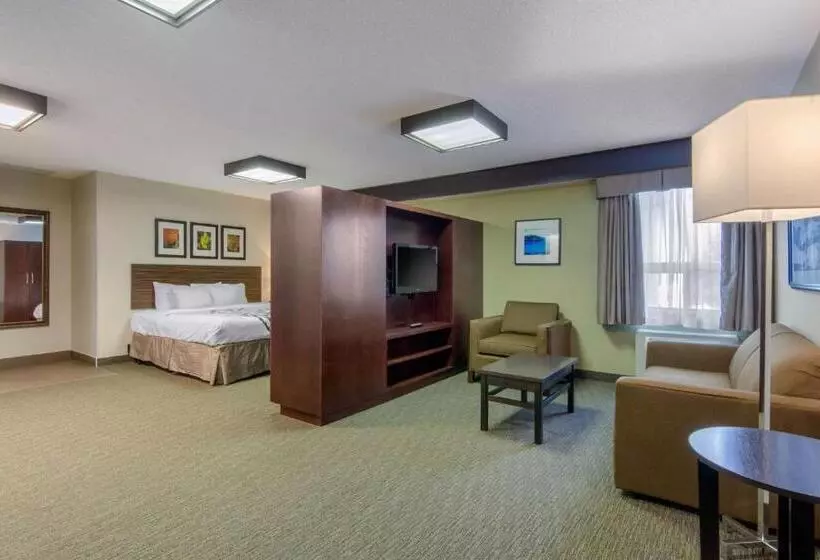 سوئیت با تخت بزرگ, Sleep Inn