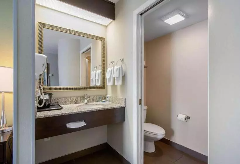 سوئیت با تخت بزرگ, Sleep Inn