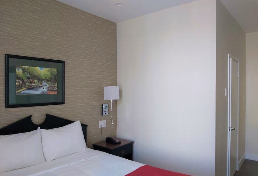 豪华房间, Strathcona