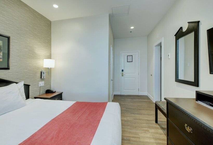 豪华房间, Strathcona