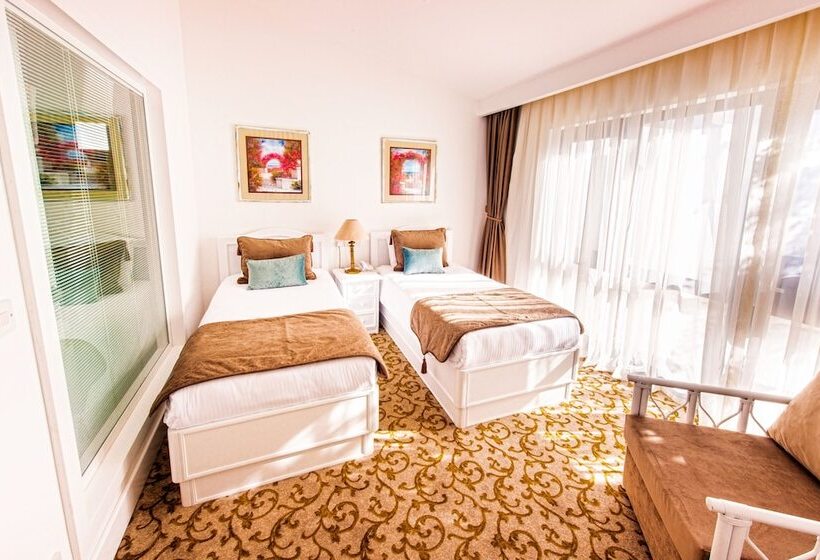 غرفة إقتصادية, The Olive Tree