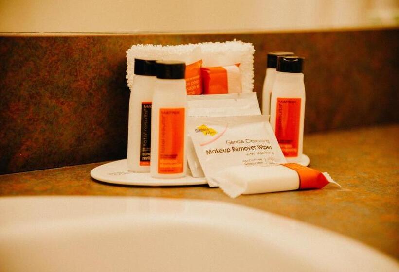 스탠다드 룸, Super 8 By Wyndham Revelstoke Bc