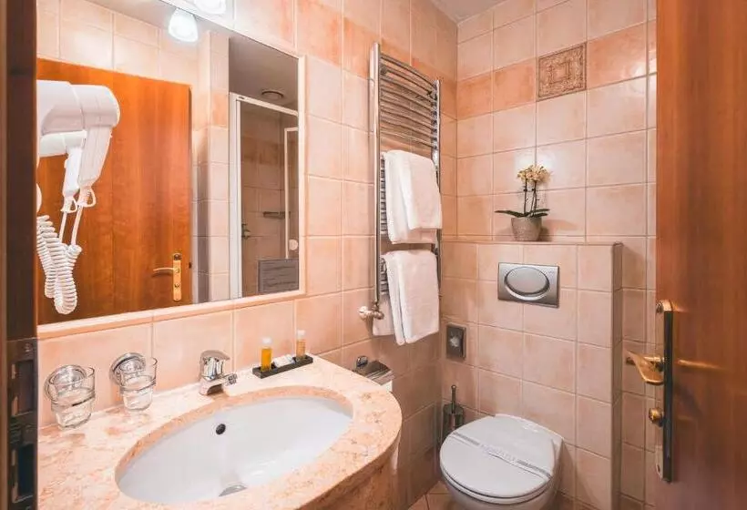 Standard-huone, Ariston Prague