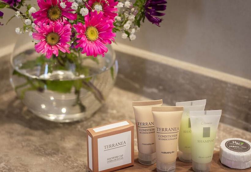 标准三人间, Fundador