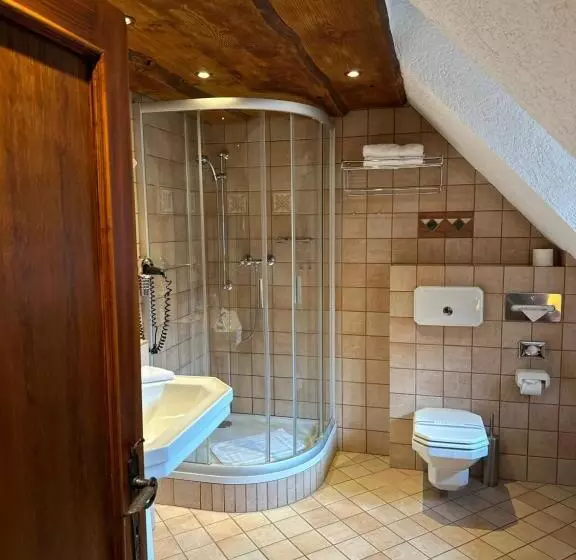 اتاق سوپریور, Romantik Hotel U Raka