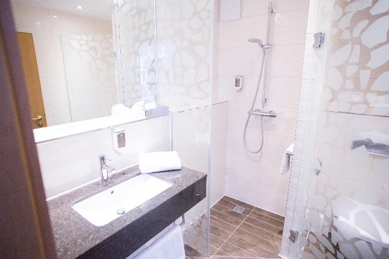 컴포트 룸, Ibis Styles Leipzig