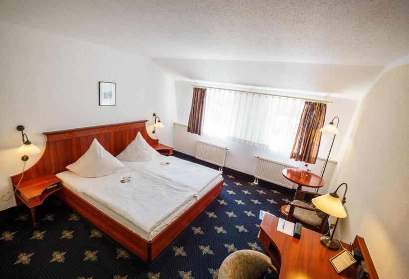 غرفة قياسية, The Royal Inn Wilder Mann Annaberg