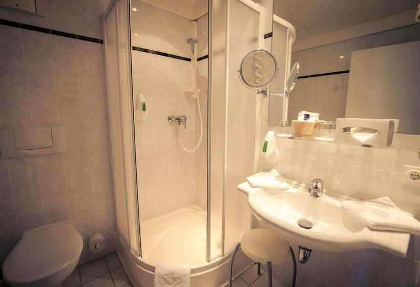 غرفة قياسية, The Royal Inn Wilder Mann Annaberg