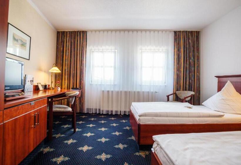 غرفة قياسية, The Royal Inn Wilder Mann Annaberg