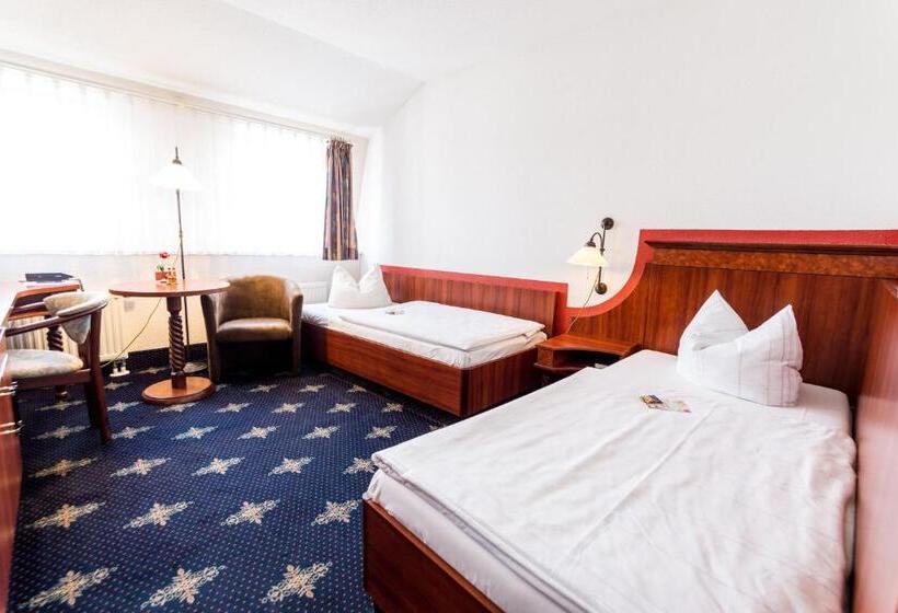 غرفة قياسية, The Royal Inn Wilder Mann Annaberg