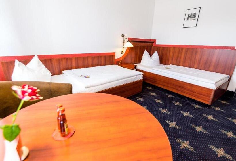 غرفة قياسية, The Royal Inn Wilder Mann Annaberg