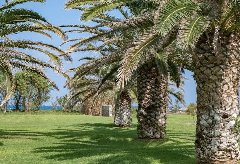 スタンダードバンガロー, Agapi Beach Resort Premium All Inclusive