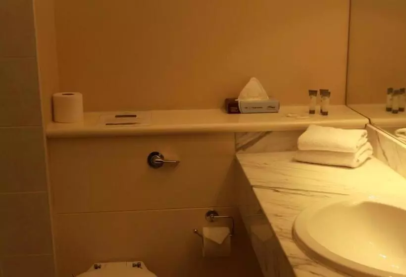 スタンダードシングルルーム, Celtic Ross Hotel & Leisure Centre
