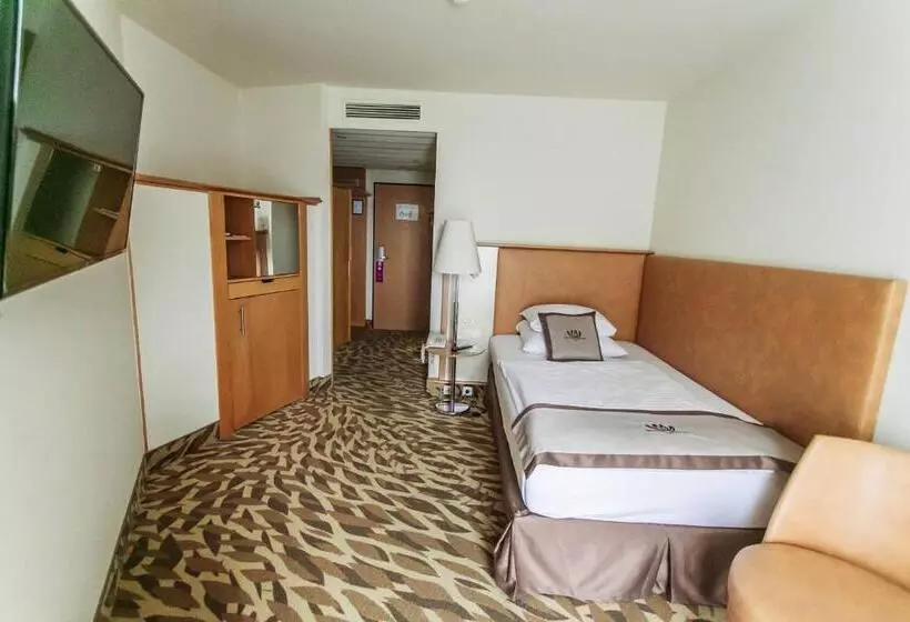 スタンダードシングルルーム, Lotus Therme Hotel & Spa
