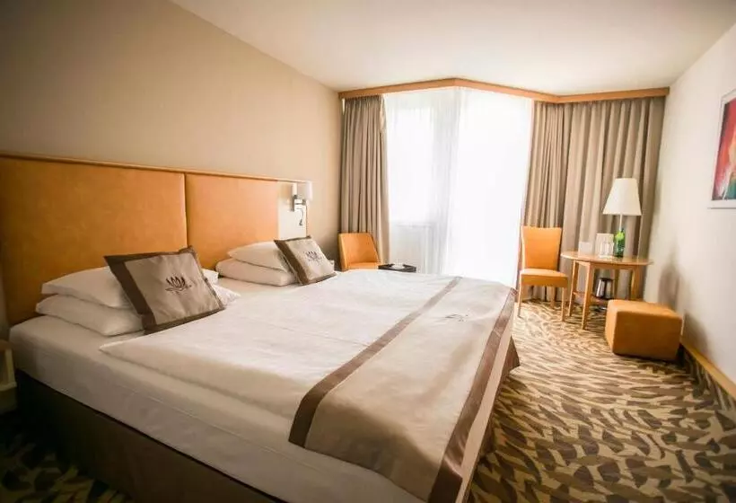スタンダードルーム, Lotus Therme Hotel & Spa