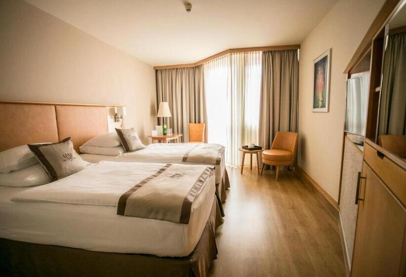 标准间带游泳池, Lotus Therme Hotel & Spa