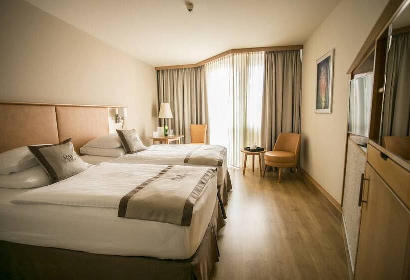 标准间带游泳池, Lotus Therme Hotel & Spa