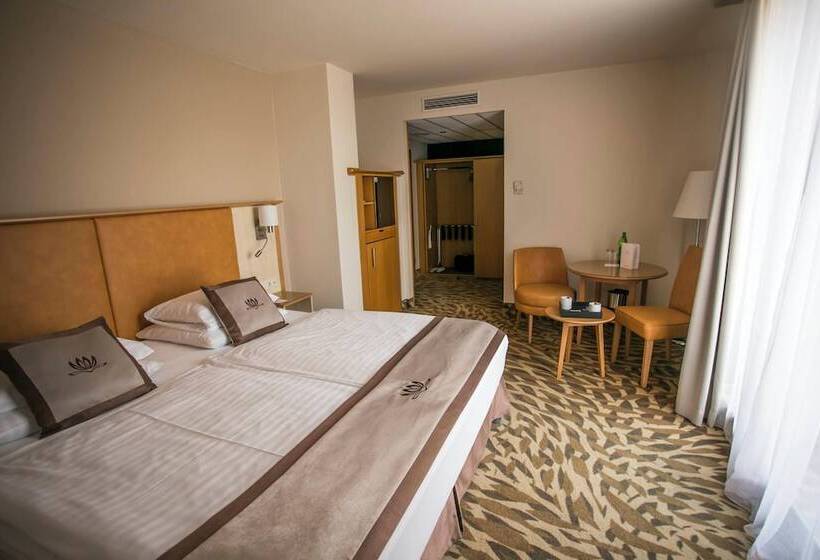 スタンダードルーム, Lotus Therme Hotel & Spa