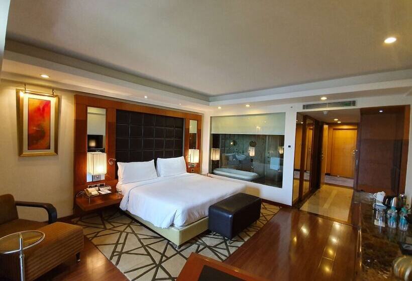 スーペリアールーム, Radisson Blu Plaza Delhi Airport