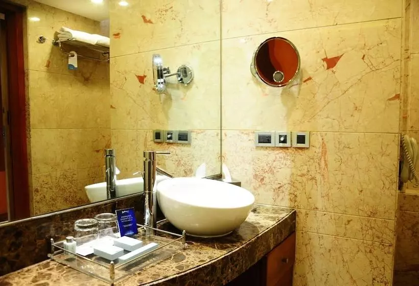 ビジネスルーム, Radisson Blu Plaza Delhi Airport