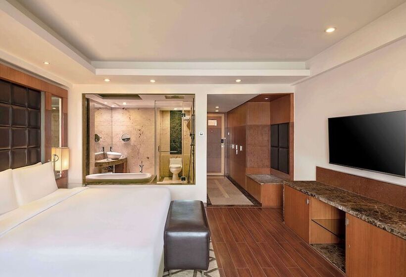 ビジネスルーム, Radisson Blu Plaza Delhi Airport