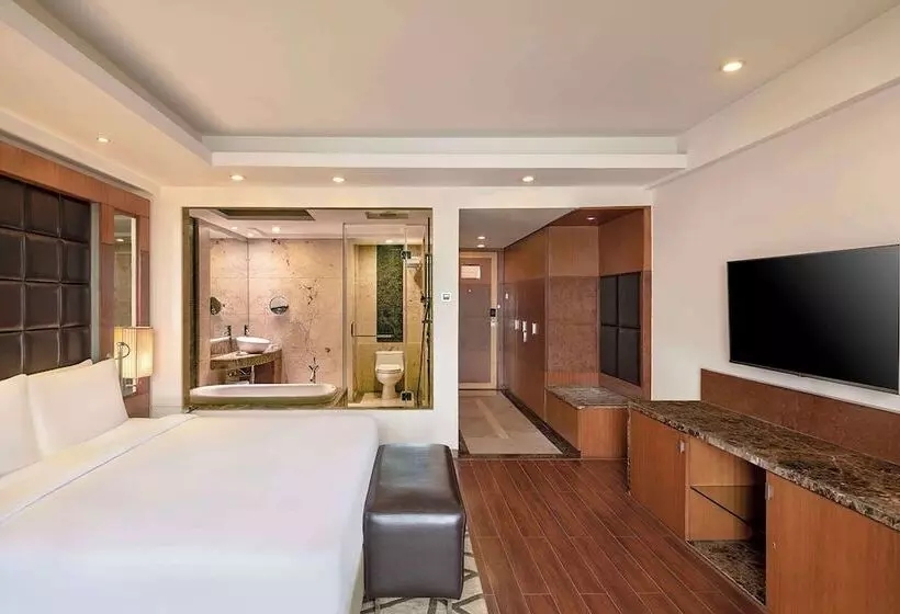 ビジネスルーム, Radisson Blu Plaza Delhi Airport