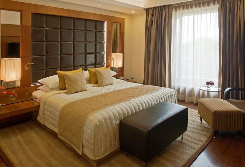 ビジネスルーム, Radisson Blu Plaza Delhi Airport