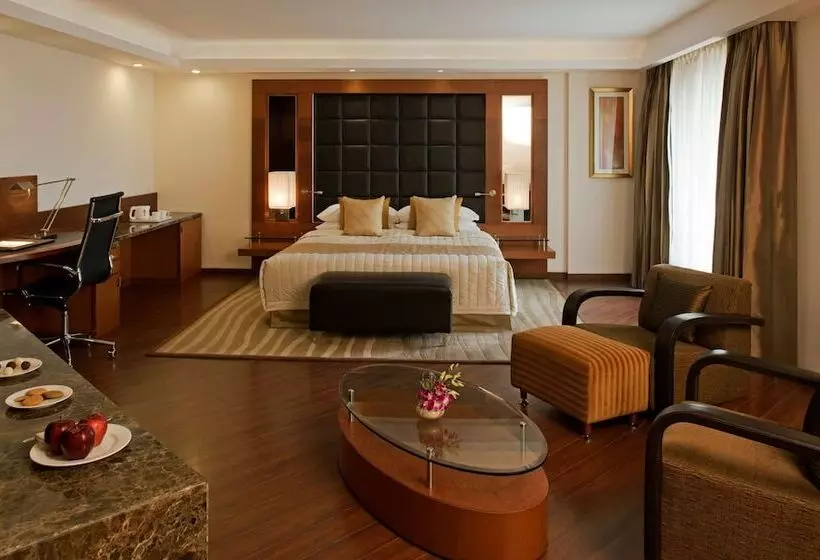 ビジネスルーム, Radisson Blu Plaza Delhi Airport