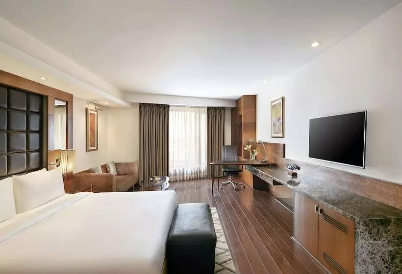 ビジネスルーム, Radisson Blu Plaza Delhi Airport