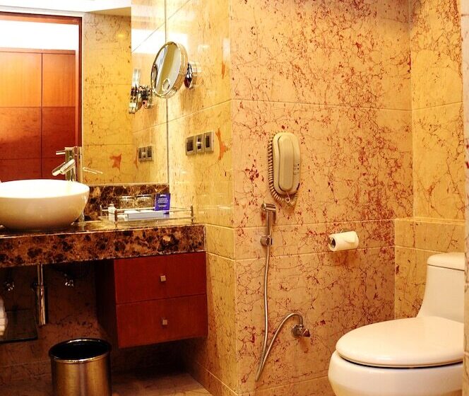 デラックスルーム, Radisson Blu Plaza Delhi Airport