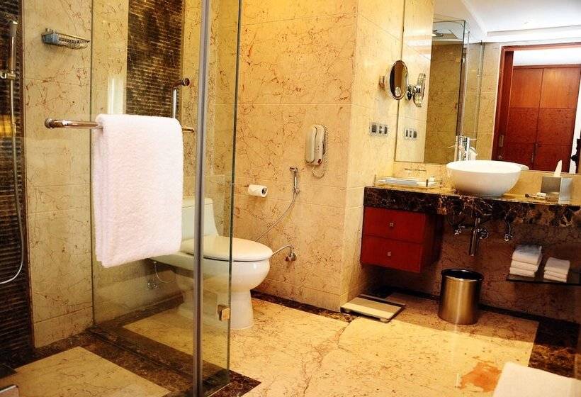 اتاق لوکس, Radisson Blu Plaza Delhi Airport