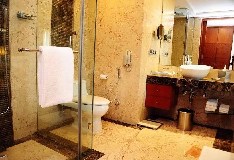 デラックスルーム, Radisson Blu Plaza Delhi Airport