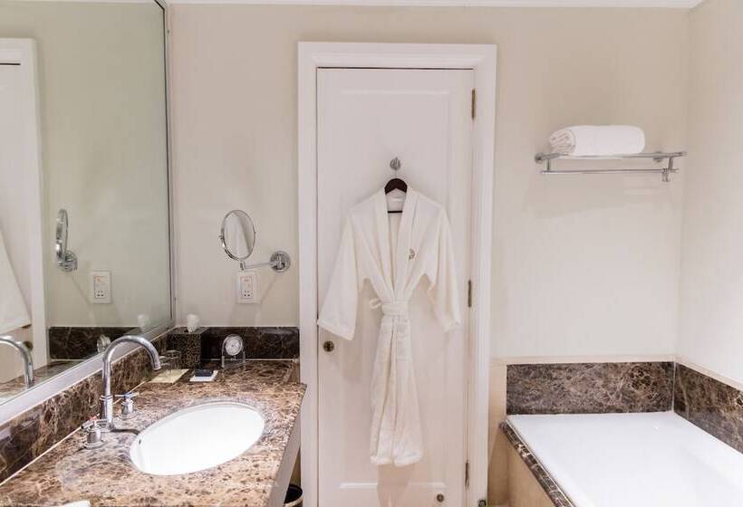 غرفة قياسية, Taj Connemara, Chennai