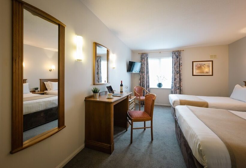 חדר סטנדרט, Downhill Inn