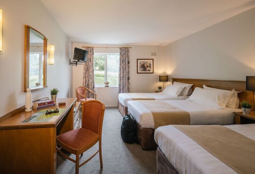 חדר סטנדרט לשלושה, Downhill Inn