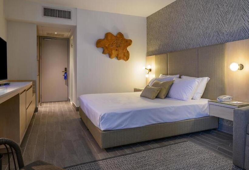 Standard Room Mountain View