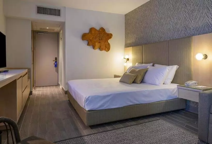 Standard Room Mountain View