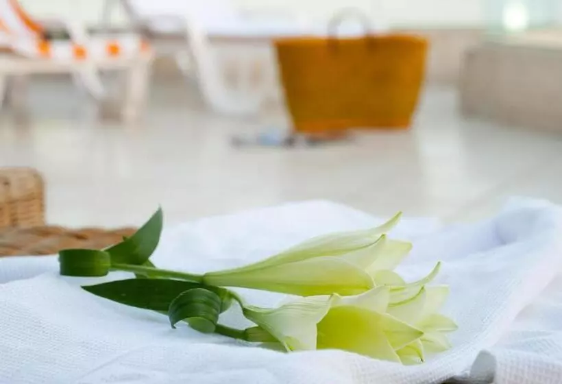 バルコニー付きスタンダードルーム, Leonardo Club Hotel Dead Sea   All Inclusive